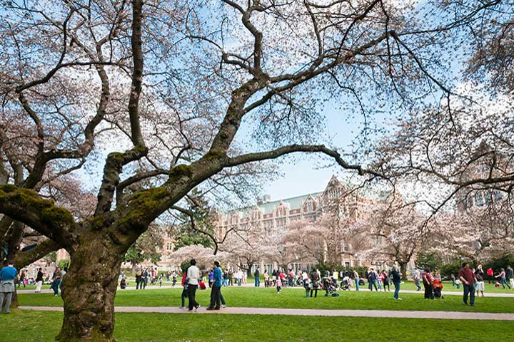 Building new facilities on university yard